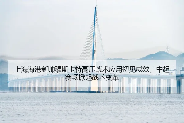 shang-hai-hai-gang-xin-shuai-mu-si-ka-te-gao-ya-zhan-shu-ying-yong-chu-jian-cheng-xiao-zhong-chao-sai-chang-xian-qi-2-423.jpg