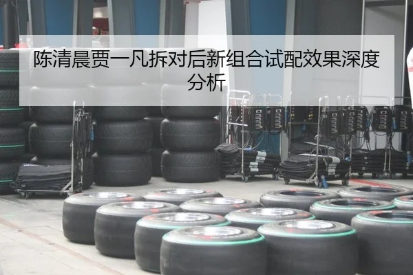 chen-qing-chen-jia-yi-fan-chai-dui-hou-xin-zu-he-shi-pei-xiao-guo-shen-du-fen-xi-2-704.jpg
