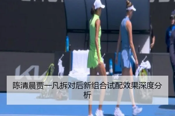 陈清晨贾一凡拆对后新组合试配效果深度分析