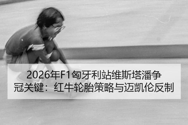 nian-xiong-ya-li-zhan-wei-si-ta-pan-zheng-guan-guan-jian-hong-niu-lun-tai-ce-lve-yu-mai-kai-lun-fan-zhi-2-831.jpg