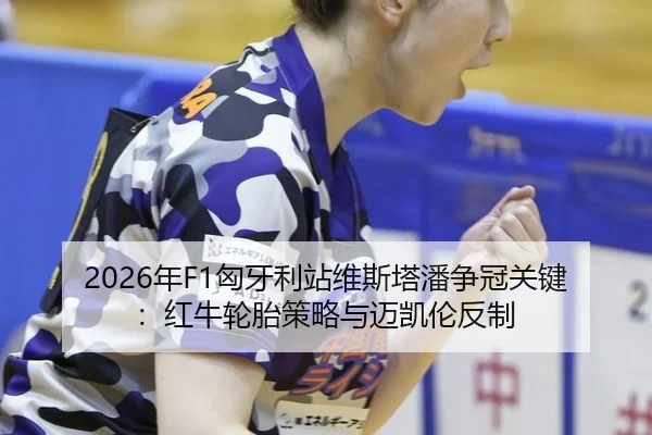 2026年F1匈牙利站维斯塔潘争冠关键：红牛轮胎策略与迈凯伦反制